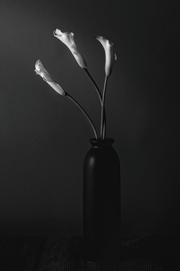 Grace of a Calla Lily Photograph by Dodie Ross
