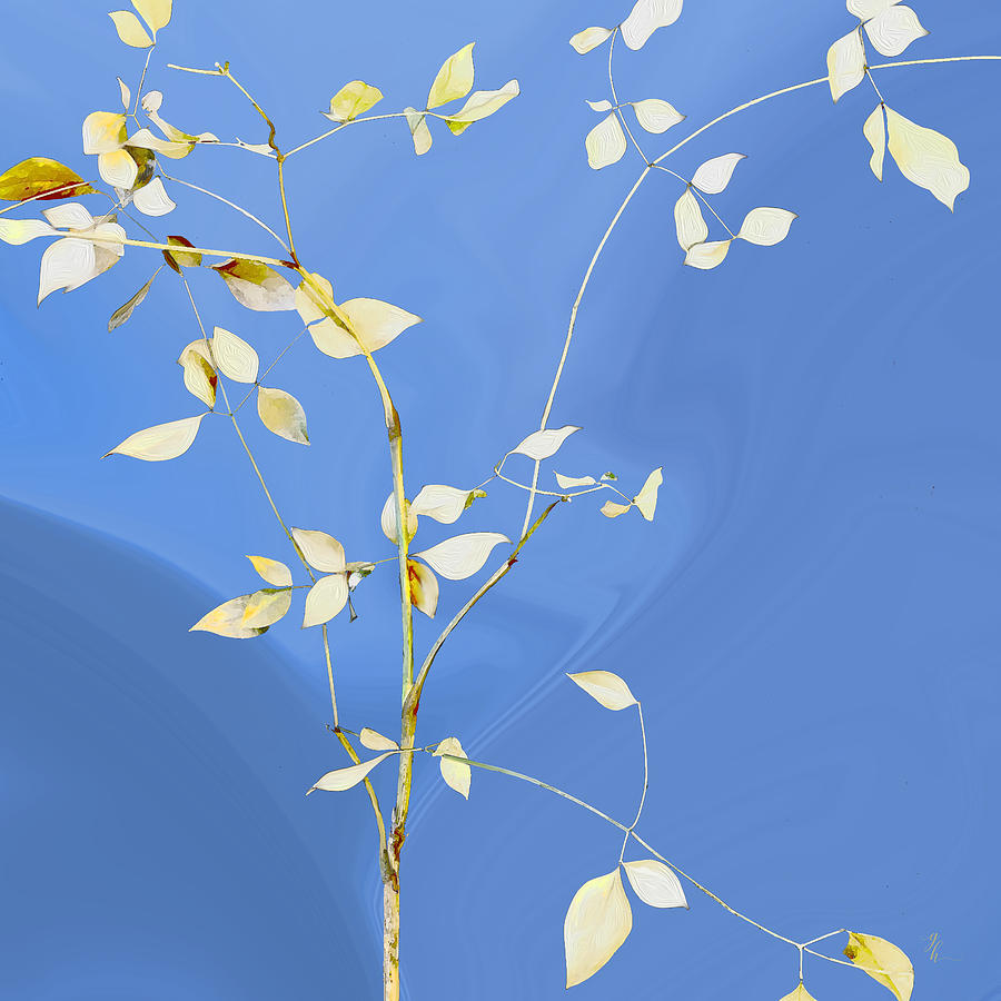 Gratia Digital Art by Gina Harrison