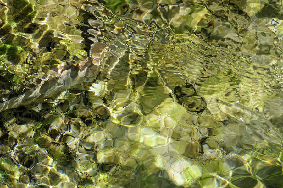 Green abstract water gems Photograph by Sunniye Buesing