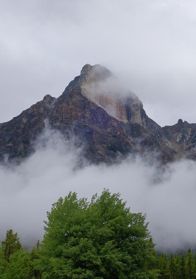 Green Trees And Mountains Photograph by Dan Sproul