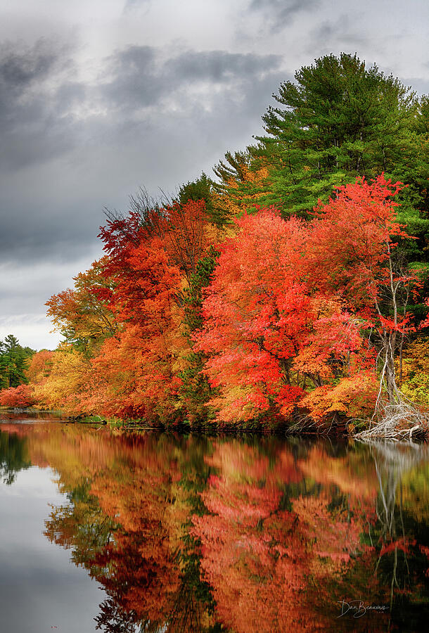 Autumn Foliage by the Lake Photograph - Grist Mill Pond #4727 by Dan Beauvais