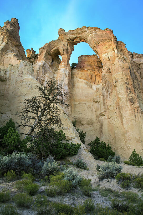 Grosvenor Arch Photograph by Diane Moller