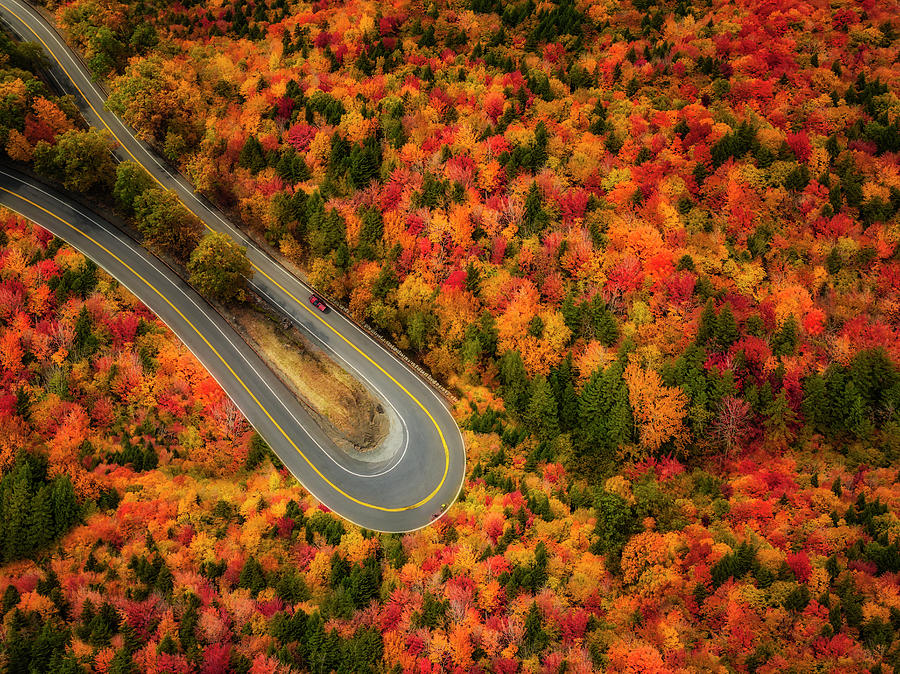 Autumn Hairpin Turn in New York Photograph - Hairpin Turn NY by Susan Candelario