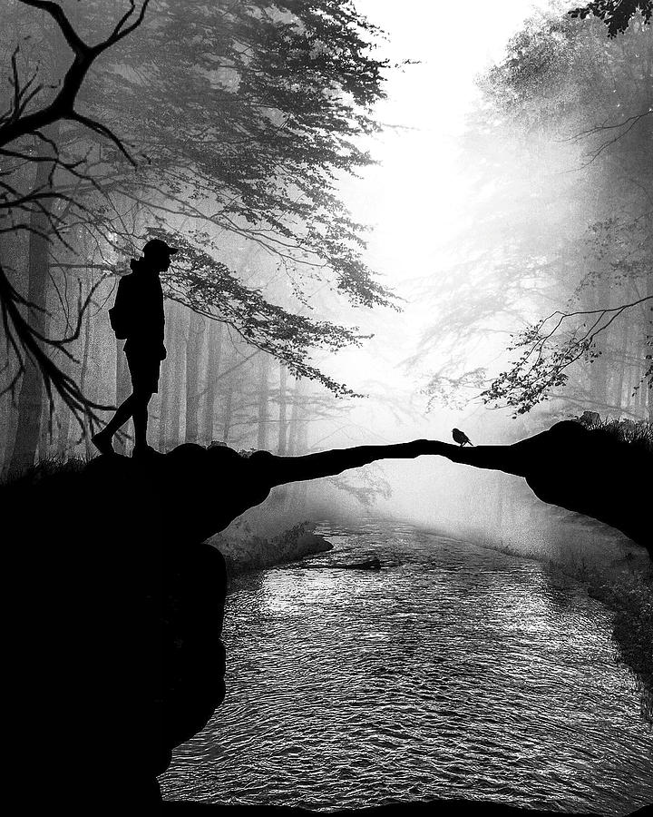 Monochrome Forest River Scene Photograph - Half Way by Sofie Conte