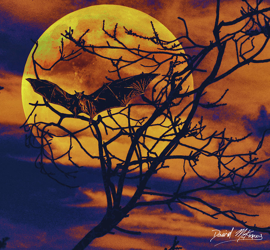 Halloween Bat Digital Art by David McKinney