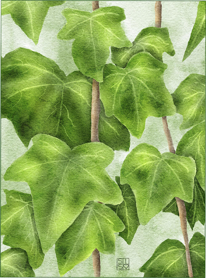 Hand-Drawn Ivy Leaves Wall Art A Botanical Masterpiece Digital Art by Snow Iris Studio