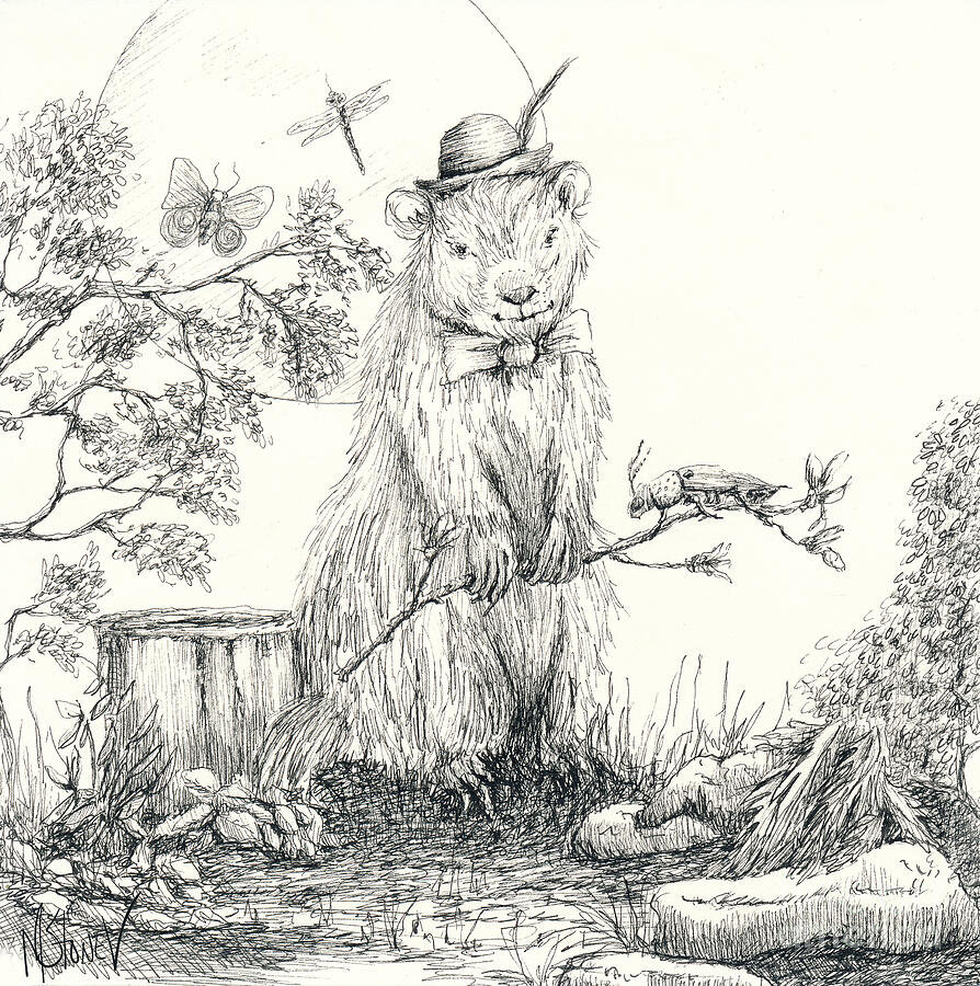 Blissful Groundhog Drawing by Marie Stone-van Vuuren