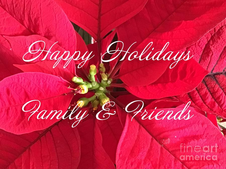 Happy Holidays Photograph by Catherine Wilson