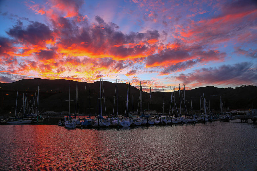 Harbor Photograph by Louis Raphael