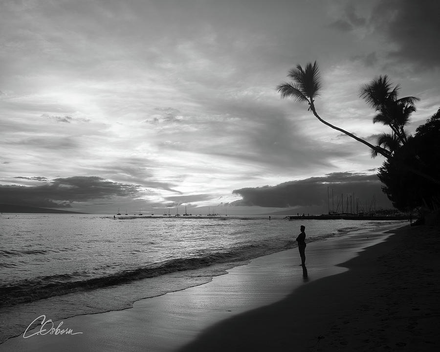 Harbor Sunset Photograph by Charlie Osborn