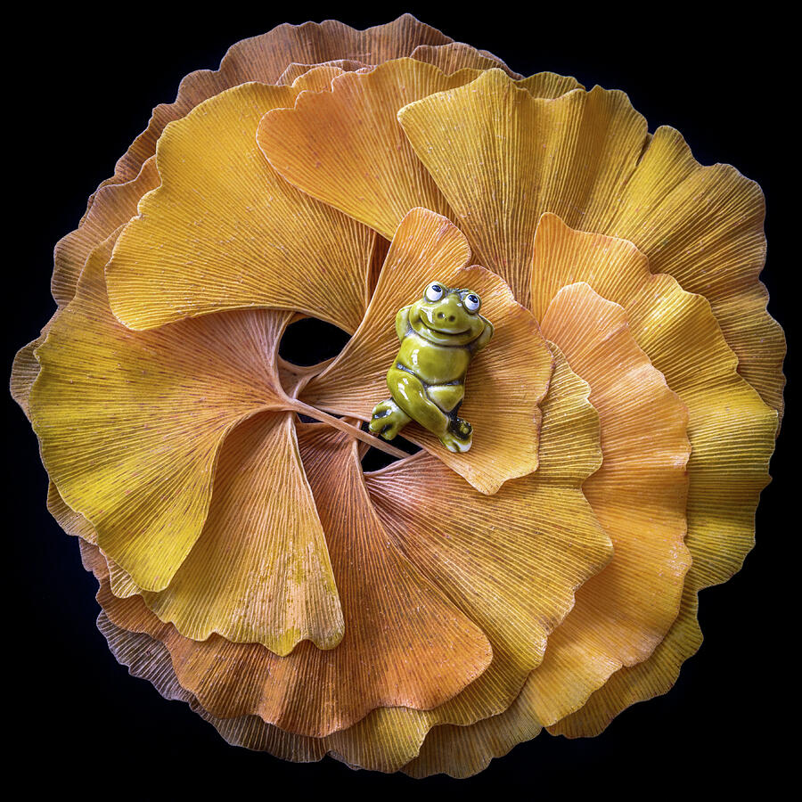 Having The Time Of My Life Photograph by Elvira Peretsman