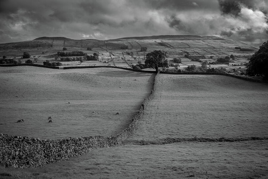 Grayscale Countryside Landscape Photograph - Hawes by Seeables Visual Arts