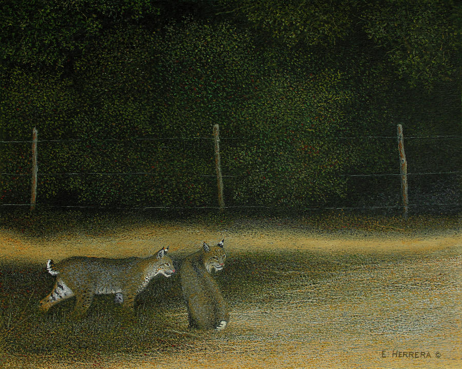The Fence Line Painting by Eleazar Herrera