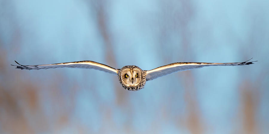 Head On Panoramic Photograph by James Overesch