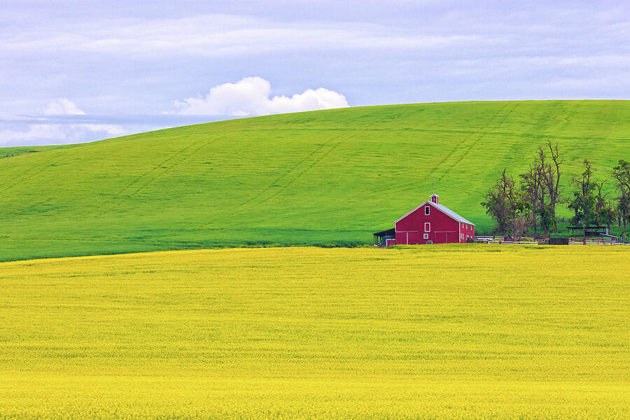 Red Barn on Lush Landscape Photograph - Heartland Harmony in Idaho by Kevin Schwalbe