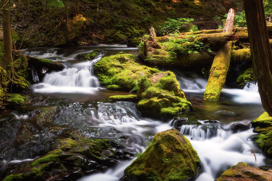 Hidden Creek Photograph by DeAnna Lord