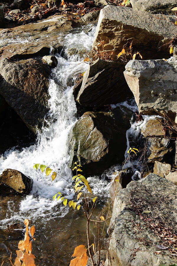 Hillside Below The Natural Spring Photograph by Flees Photos
