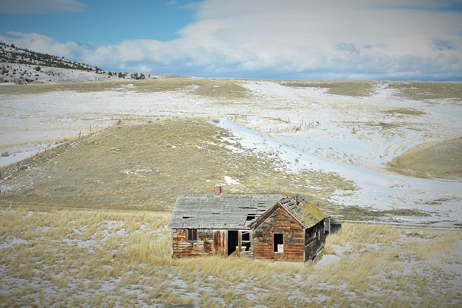 Homestead Photograph by Alden White Ballard