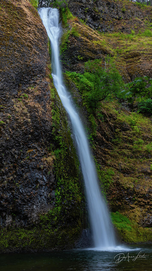 Horsetail Falls Photograph by DeAnna Lord