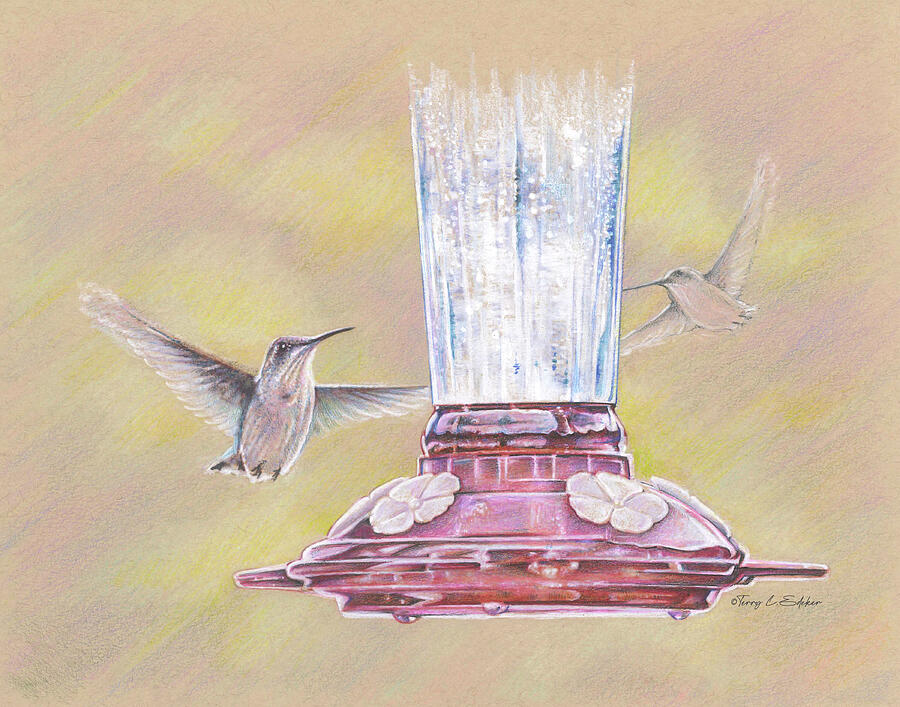 Humming Birds Drawing by Terry Edeker