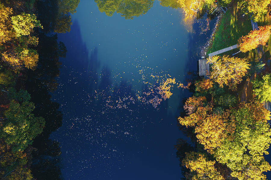 Autumn Reflections on a Tranquil Lake Photograph - Hunsickers Grove Autumn Aerial by Jason Fink