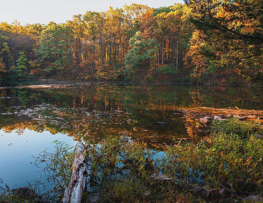 Tranquil Autumn Lakeside Photograph - Hunsickers Grove Pondside Reflections by Jason Fink