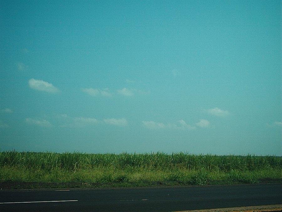 Hurricane Katrina Series - 30 Photograph by Christopher Lotito