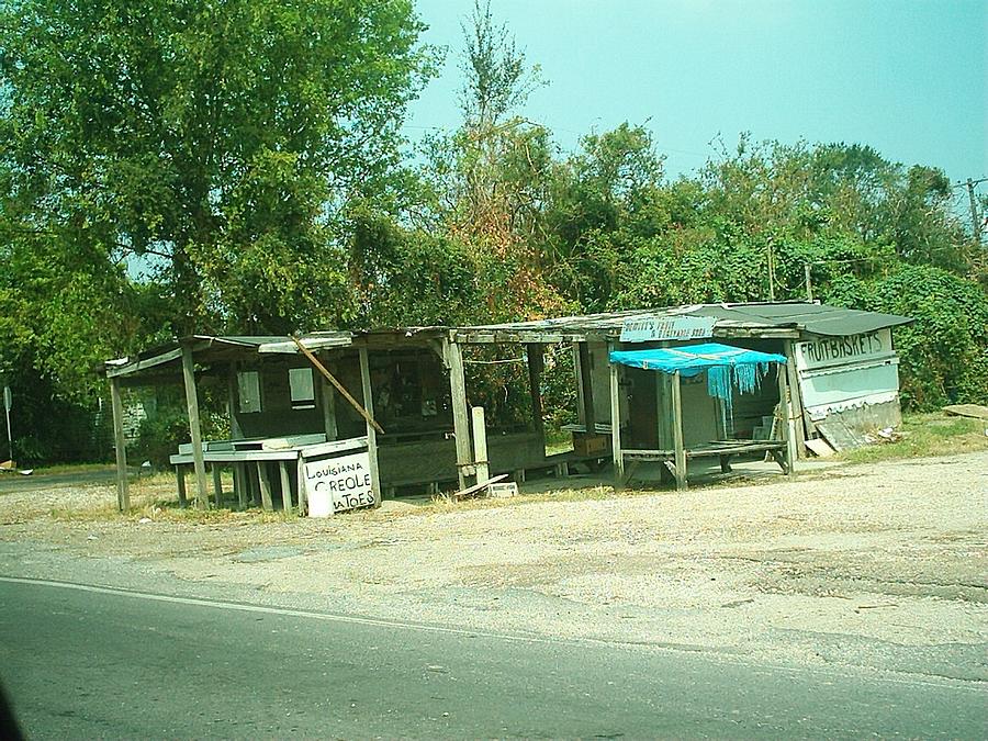 Hurricane Katrina Series - 36 Photograph by Christopher Lotito