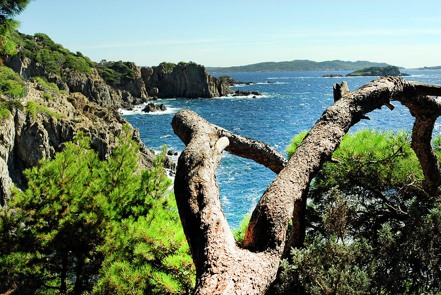Hyeres, Giens, France, Mediterranean Sea, rocky coastline Photograph by Severija Kirilovaite
