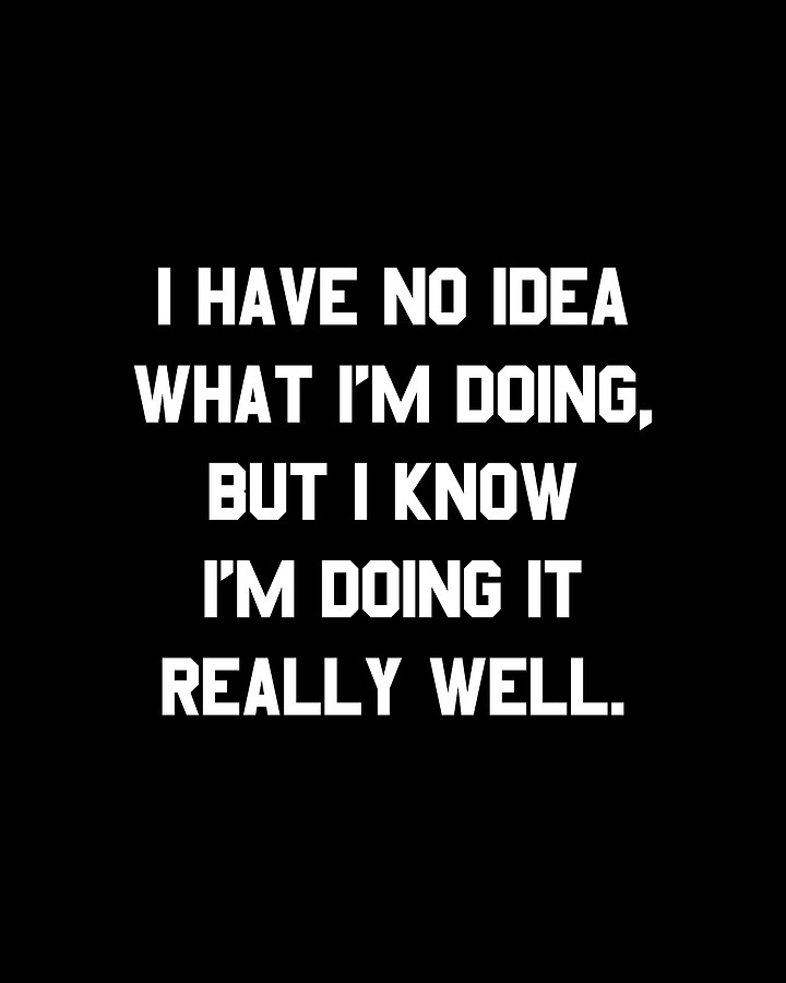 I Have No Idea What Im Doing Digital Art by Flippin Sweet Gear