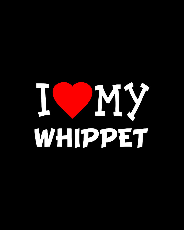 I Love My Whippet Dog Breed Digital Art by Flippin Sweet Gear
