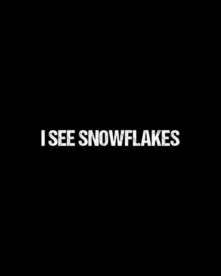 I See Snowflakes Digital Art by Flippin Sweet Gear