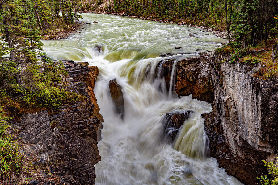Icefield Parkway Canadian Rockies Photograph by Tommy Farnsworth