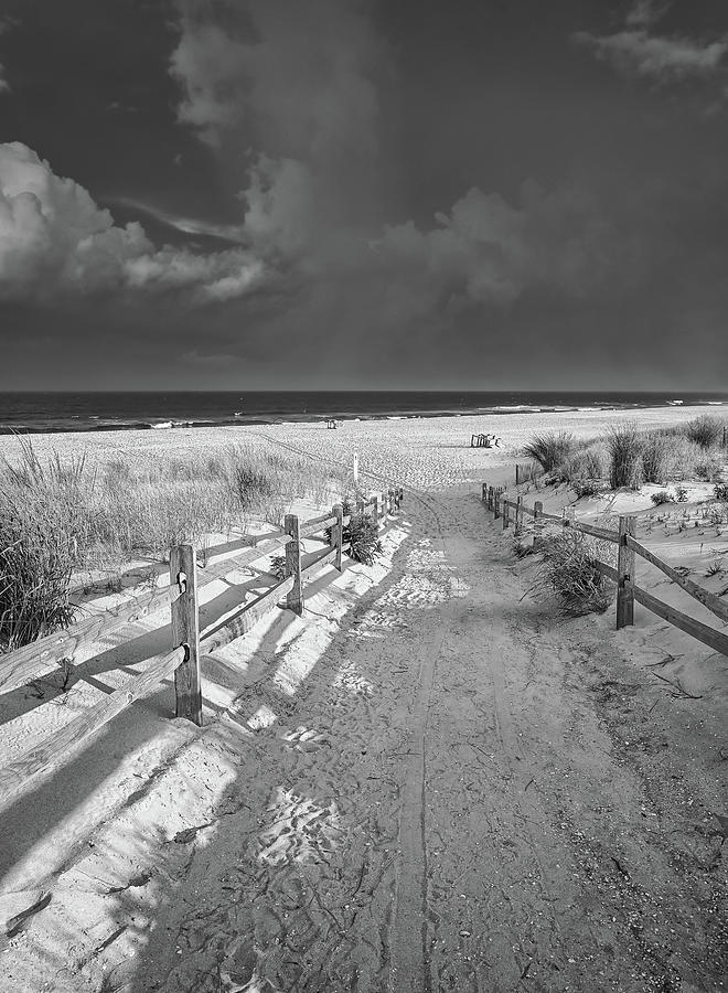 Idas Path Photograph by Steven Nelson