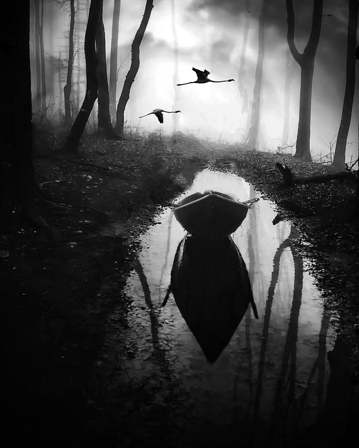 Mysterious Forest with Boat and Birds Photograph - Forest poem by Sofie Conte