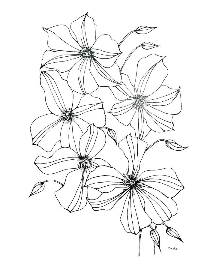 Ingenuity Drawing by Catherine Bede