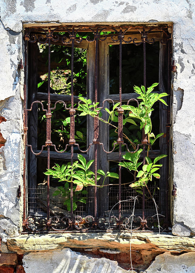Inside Out Photograph by Steven Nelson