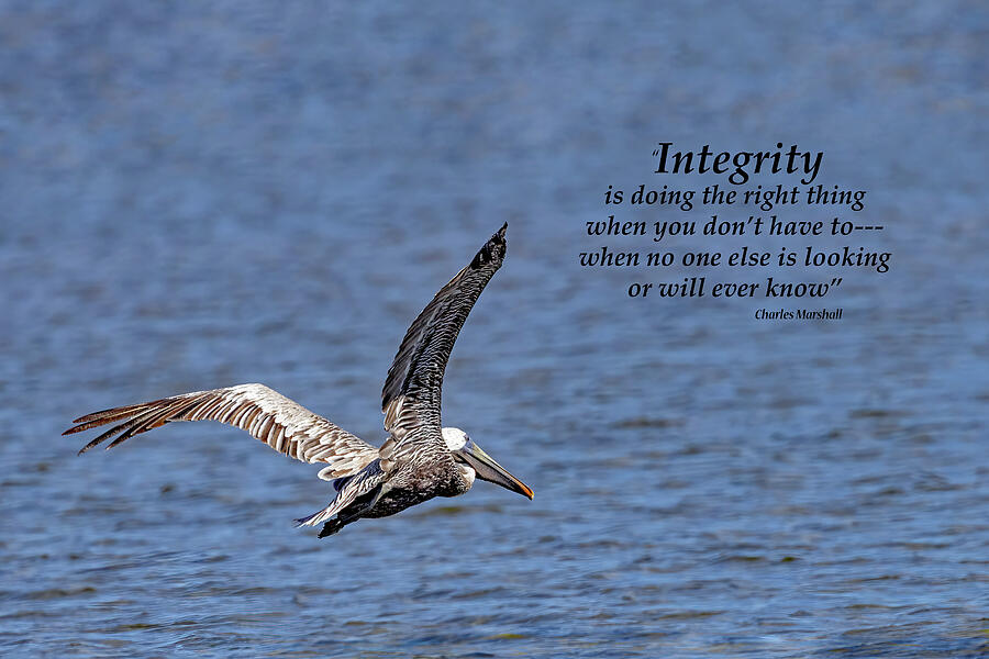 Integrity Photograph by Gina Fitzhugh
