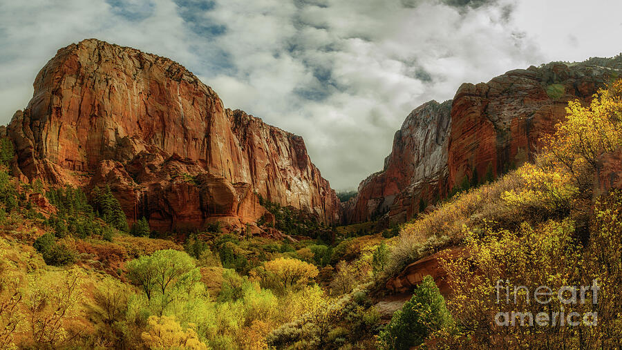 Majestic Red Rock Canyon Photograph - Into Kolob Canyon by Dodie Ross