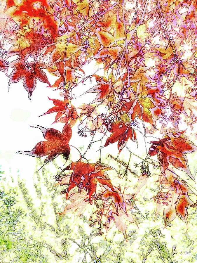 Japanese Maple in spring Digital Art by Bruce Block