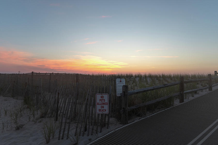 Jersey Shore Summer Sunrise over the Dunes Photograph by Matthew DeGrushe