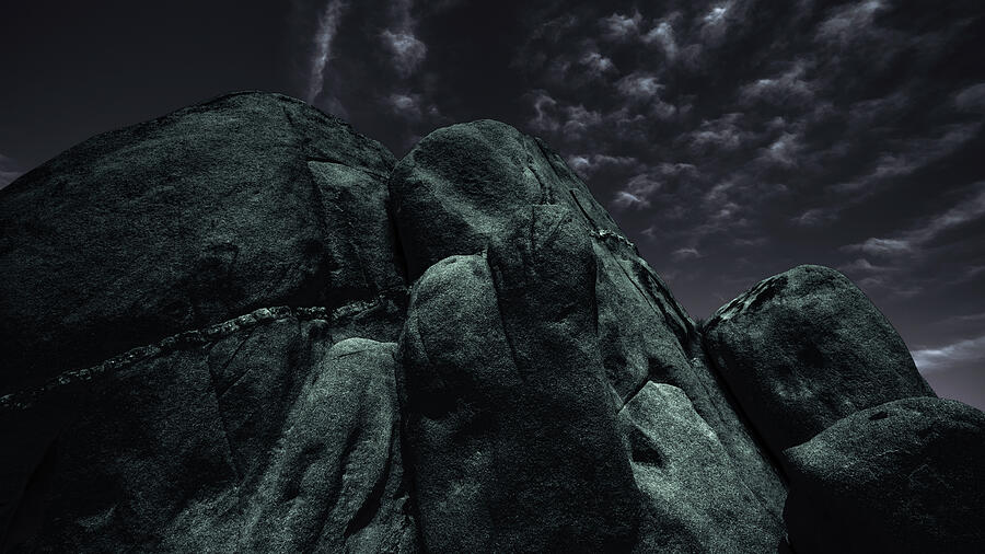 Joshua Tree National Park California 5697-300 Photograph by Neptune Images