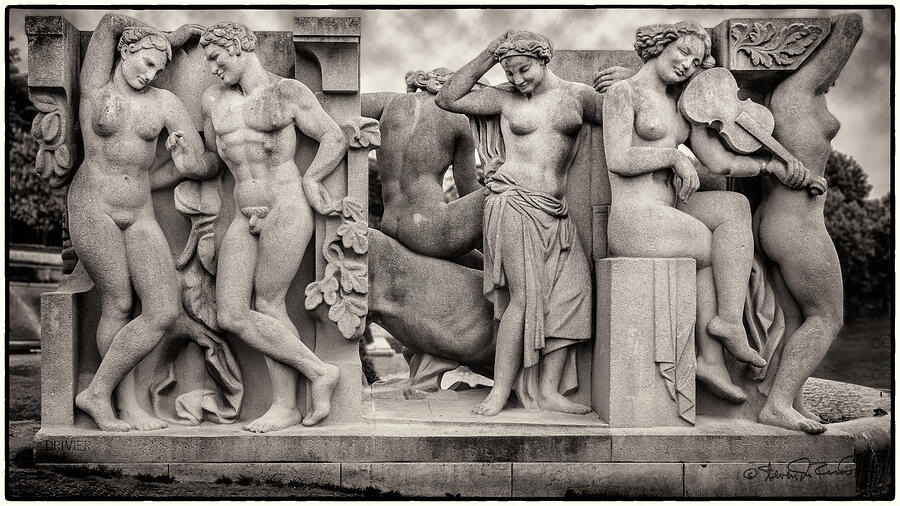 Joy of Life Photograph by Steven Dos Remedios