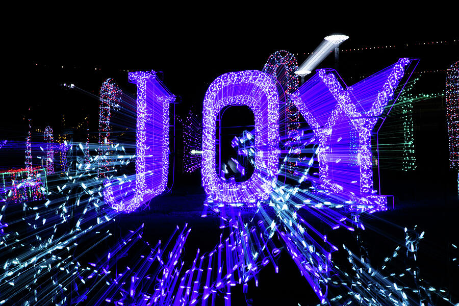 Joy to the World Photograph by KC Hulsman