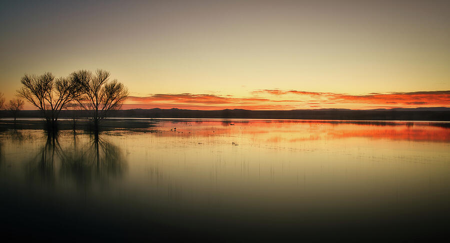 July 2025 Bosque del Apache Sunrise 2025 Reinterpretation Photograph by Alain Zarinelli