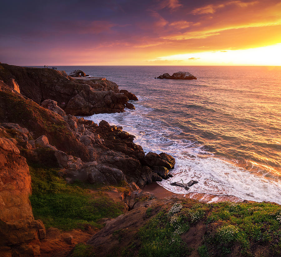 Jurassic Park Photograph by Louis Raphael