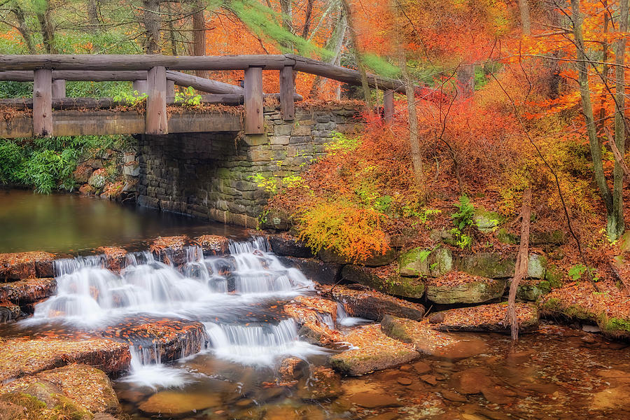 Just Water Under The Bridge Photograph by Susan Candelario
