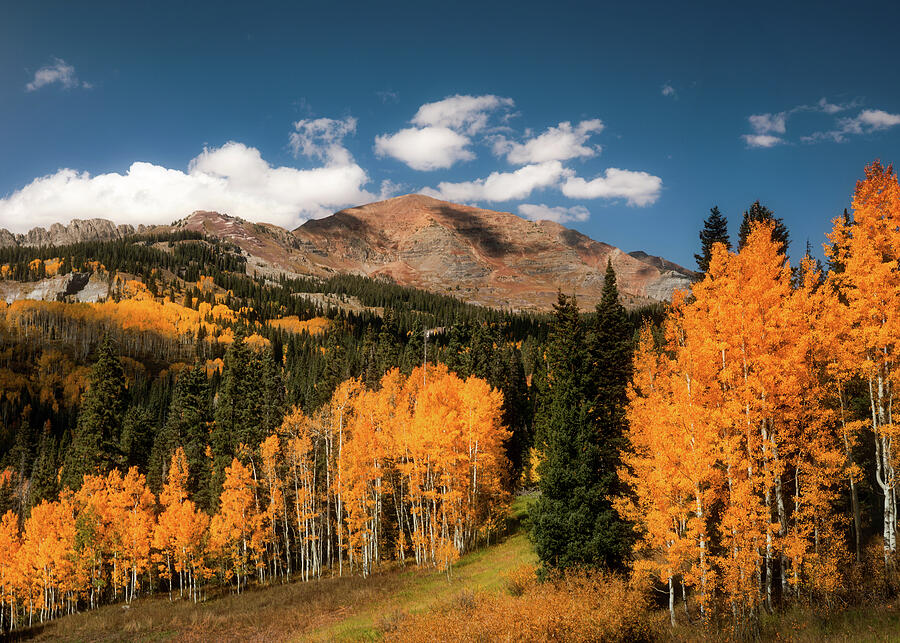 Autumn Trees in a Mountain Landscape Photograph - Kebler Pass Magical Fall Landscape by Dan Sproul
