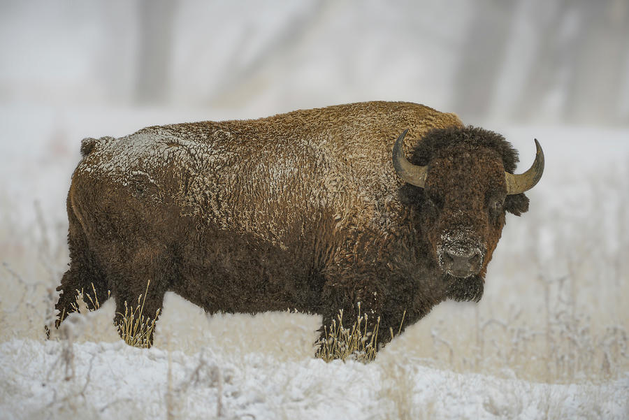 Keep Your Distance Photograph by Jon Snyder