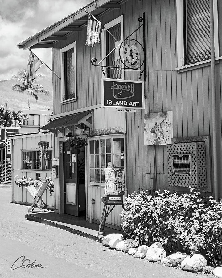 Kingwell Island Art Photograph by Charlie Osborn